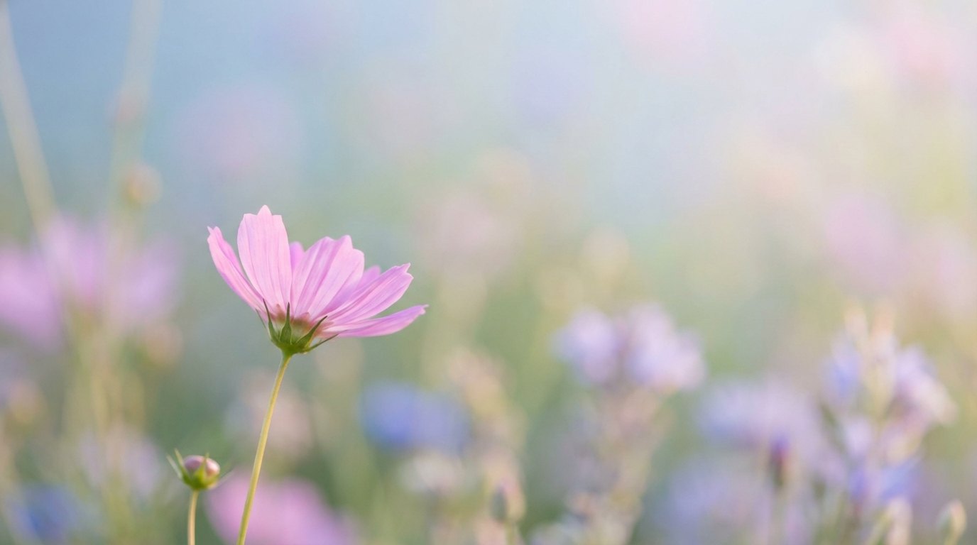 Soft flowers swaying in the breeze